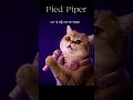🪈😽💜#piedpiper#bts#army#cat#shorts#dance