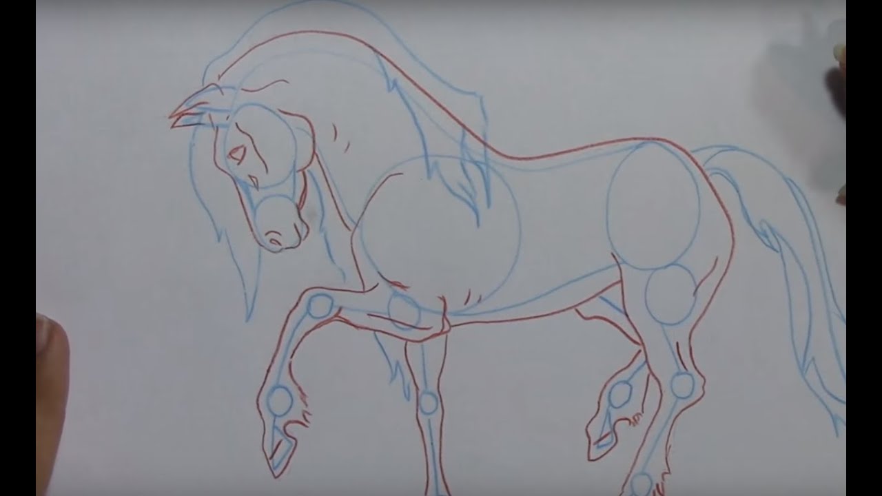 Arte vício: Tutorial - Como desenhar cavalo