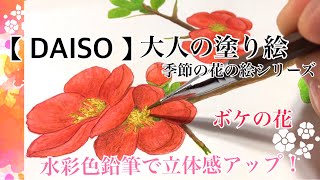 おうち時間に【ダイソー・セリア】③100均の水彩色鉛筆で大人の塗り絵 リラックス＊How to color flower of the senility.