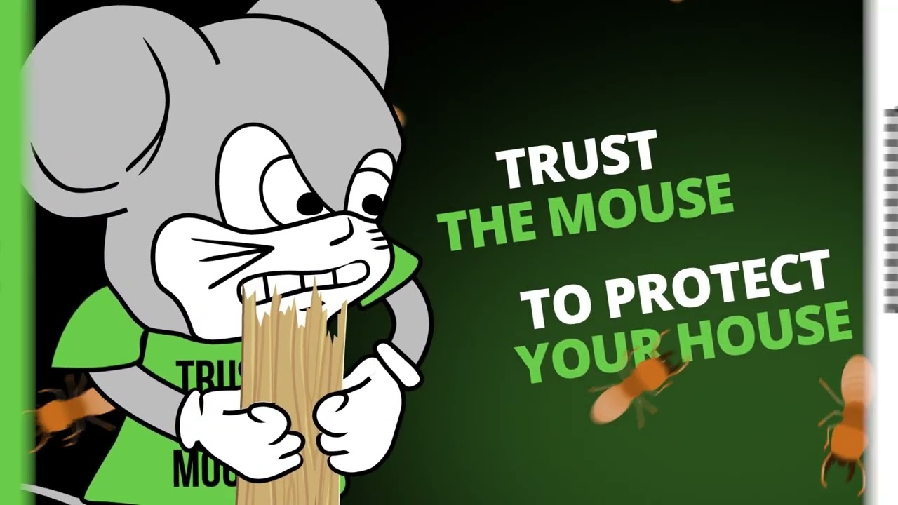 Brace Yourself for Termites | Northwest Exterminating Florida