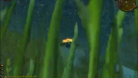 World of Warcraft Private Server Hacker