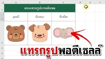 แทรกรูปภาพใน excel แบบง่ายๆ