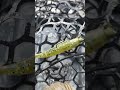 Kayaks2Fish Bathurst on the Nambucca River using Rick's Fish on Plastics