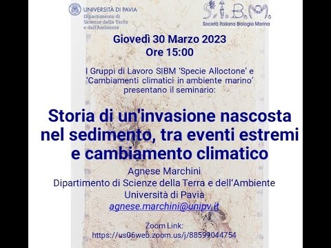 Video: Verme da congelare: il significato e l'origine dell'unità fraseologica