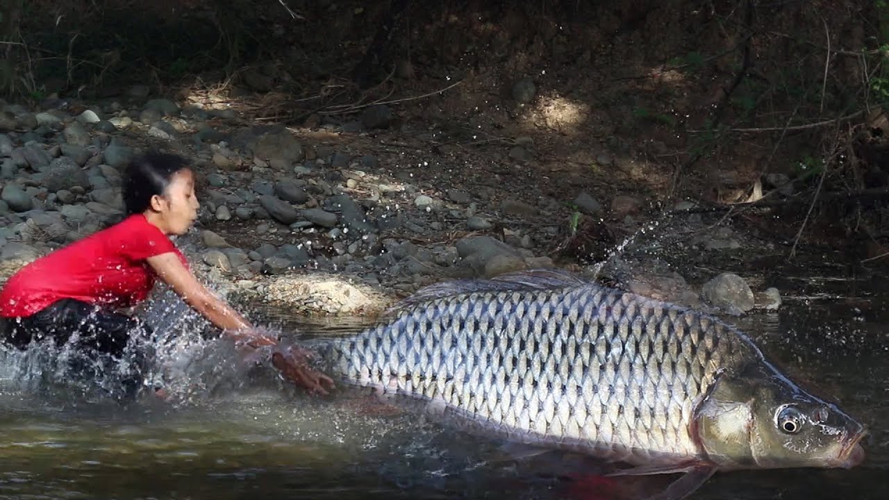 Adventure in forest: Found and catch Catch big fish in the river to ...