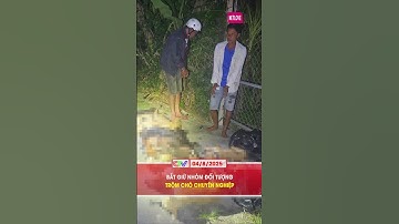 BẮT GIỮ NHÓM ĐỐI TƯỢNG TRỘM CHÓ CHUYÊN NGHIỆP