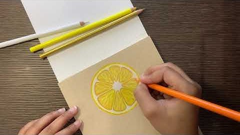 Drawing LEMON SLICE using PRISMACOLOR PENCIL