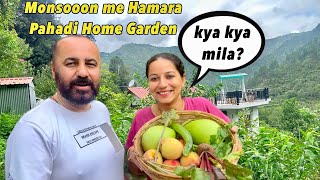 What Did You Find Today? Home Garden Me Love Preet Home Garden Tour In Monsoon