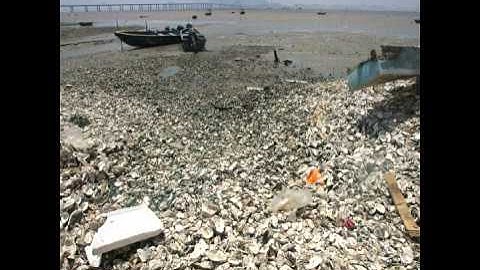 mercury pollution song