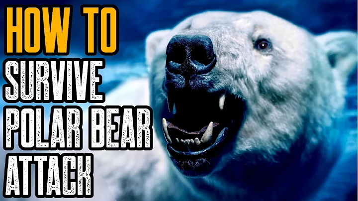 HOW TO SURVIVE A POLAR BEAR ATTACK - Is There Any Way?