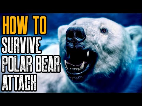 HOW TO SURVIVE A POLAR BEAR ATTACK - Is There Any Way?