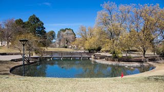 Historic Halls Pond Duck 🦆park in West Hempstead Long Island New York