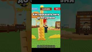 Как быстро прокачать любого питомца на 50 и больше уровень в Grow a garden #roblox #роблокс