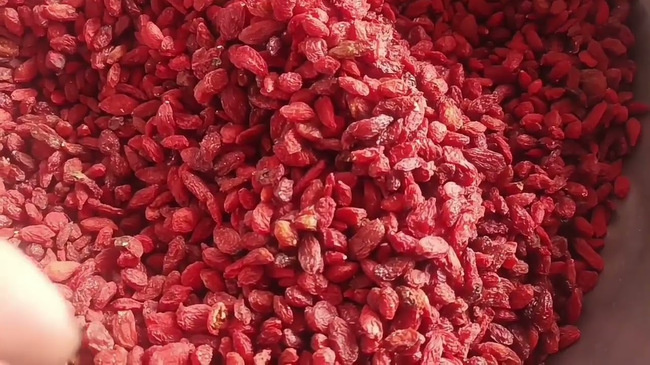 Сахар касалигини давоси . Пахтачида топилди . ГужитаКом меваси . Пахтачида устирилаябди. Стоп Сахар.