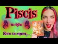 PISCIS! MADRE MIAAAA! DESPUÉS DE ESTO NADA SERÁ IGUAL 🔥