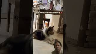 😼😹