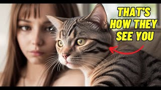 Find Out What Your Cat Thinks About You!
