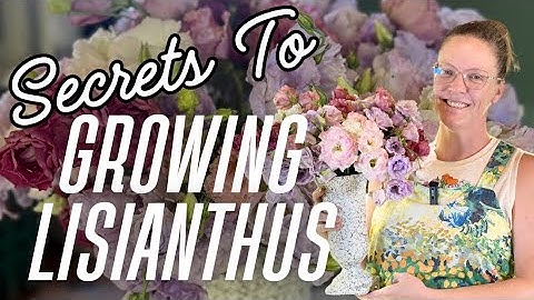 💐 Secrets to Growing LISIANTHUS from Seed | My Best Lisianthus Tips Plus Fresh Blooms!