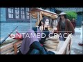 The Untamed-  more Crack! (part 3)