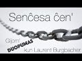 Senĉesa ĉen'