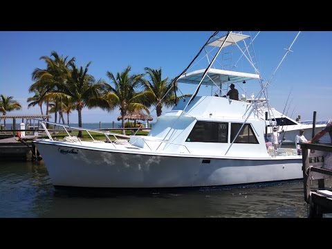 Video: Overzicht van de Florida Keys