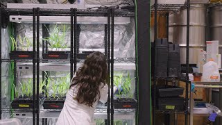 POLITICO Studio visited Andes' labs, funded by Leaps by Bayer