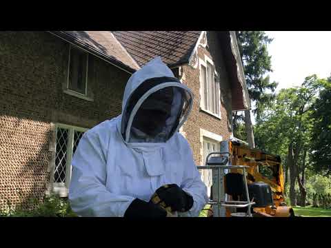 Gutter cleaning vs hornets nest