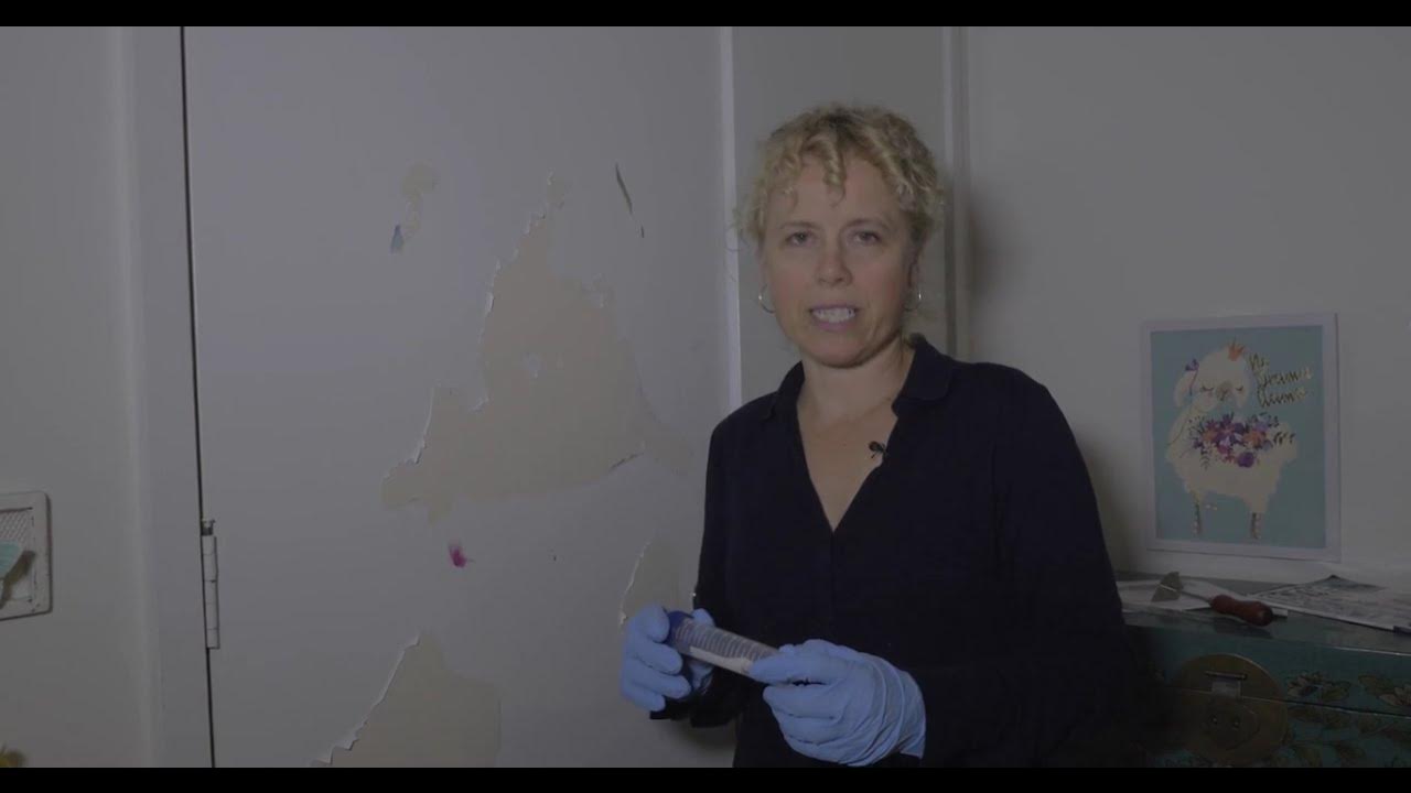 How to test lead in paint YouTube