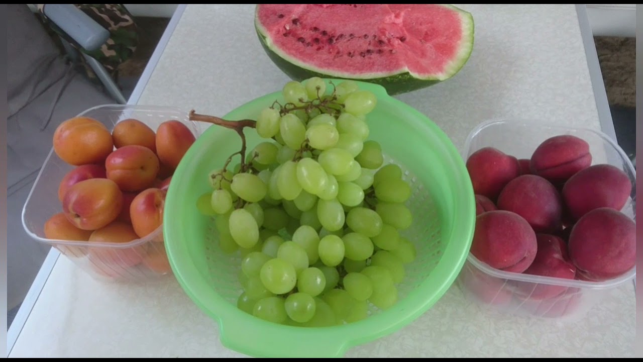 Лучший отдых в BIBIONE это на Кемпинге. Шашлык,вино,путешествие на теплоходе в Венецию.