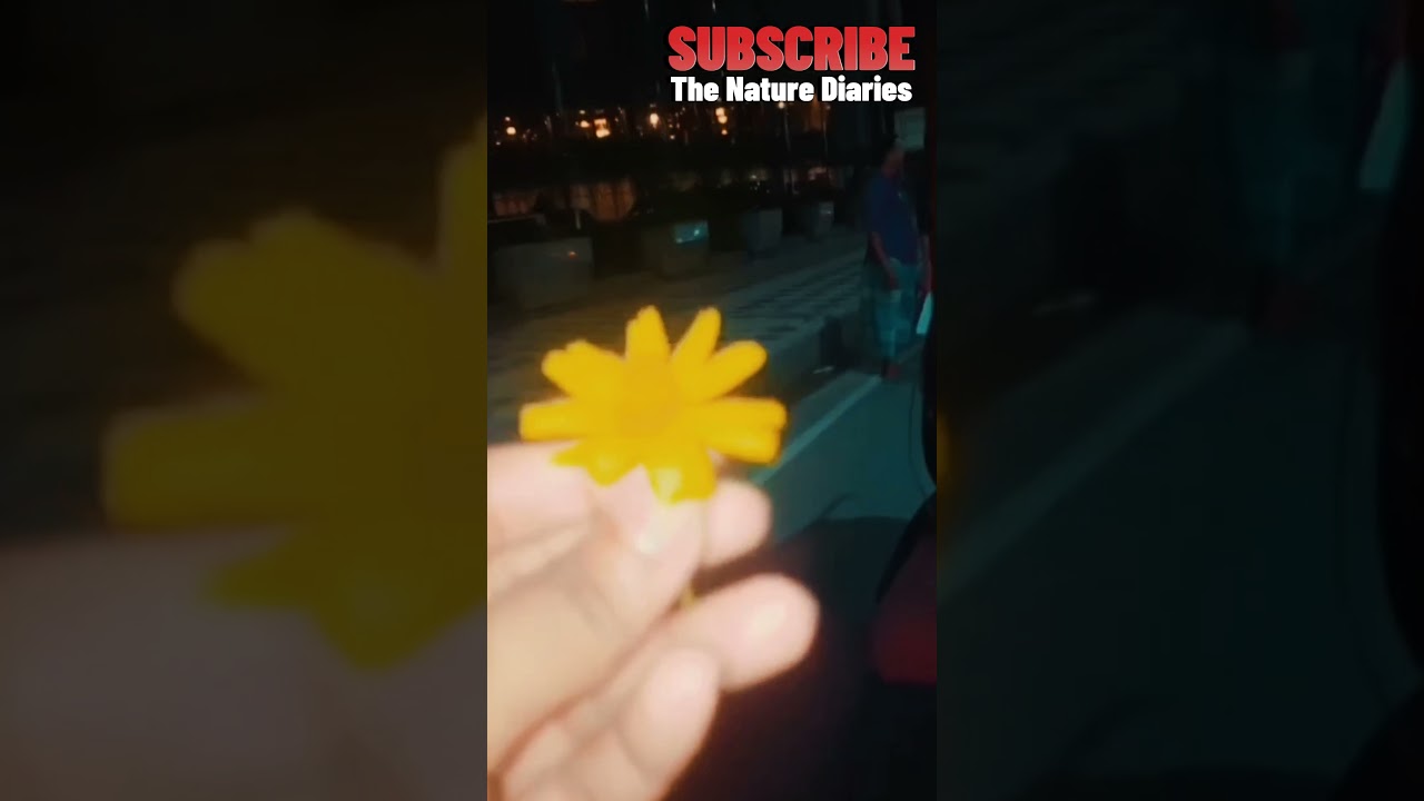 Spring's Most Stunning Flowers That Will Blow Your Mind!