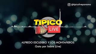 Alfredo Escudero - Gato Por Liebre (Live)