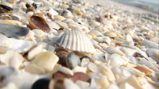 Chil Out Elveda - Metin Arolat