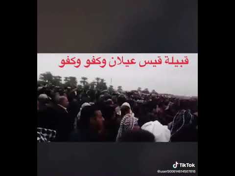 هوسة قبائل قيس عيلان جيس 511 في العراق