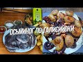 Как вкусно приготовить осьминога. Варим осьминога на костре.