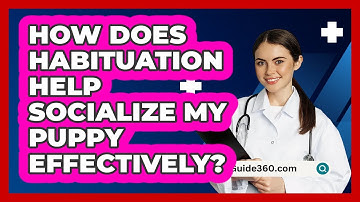 How Does Habituation Help Socialize My Puppy Effectively? - PetGuide360.com