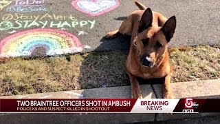 K9 killed, 2 officers shot in ambush