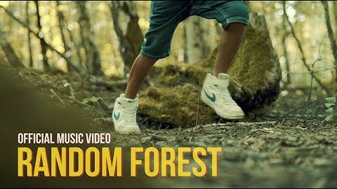 Noir Pixel - Random Forest ft. Samtar (Official Music Video)