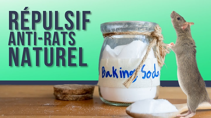 Comment se débarrasser des rats avec du Bicarbonate de soude ?