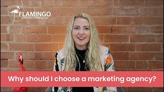 Why should I choose a marketing agency? | 21 Questions | Flamingo Marketing Strategies Ltd