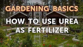 How to Use Urea as Fertilizer