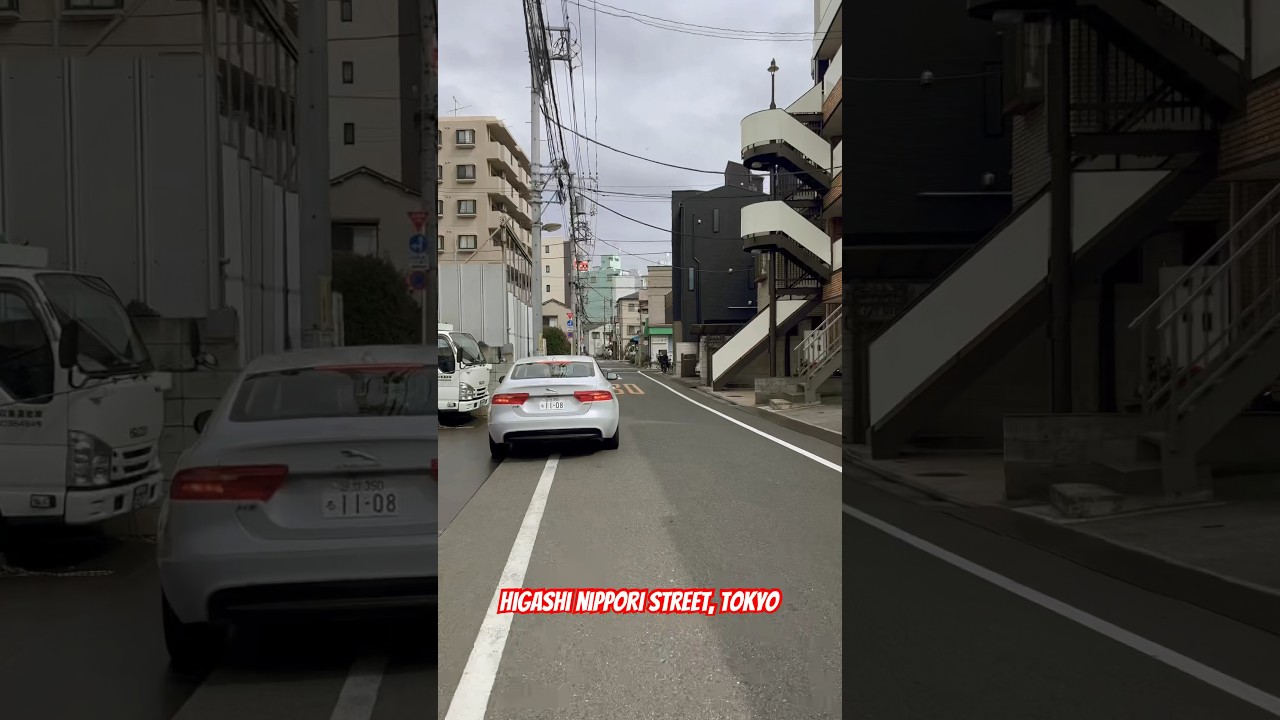 Filming when suddenly ... 