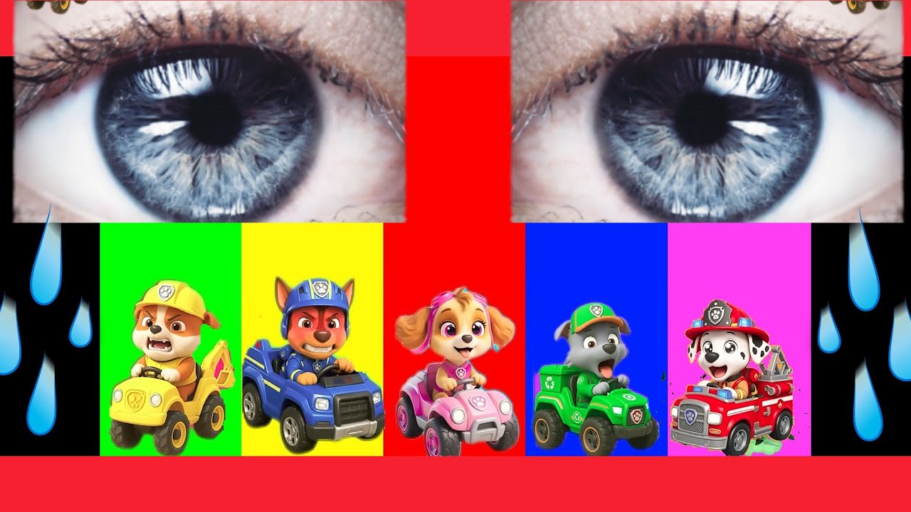 Wrong eyes👀 NEW EPISODES/ Sheriff Labrador x Rocky & BabyBoss Puzzle Wrong HeadsEYE PUZZLE WORLD