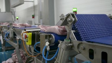 Match customer specifications with MeatMaster for pork-belly sorting