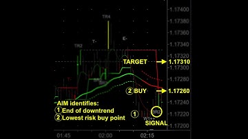 ACM demo video
