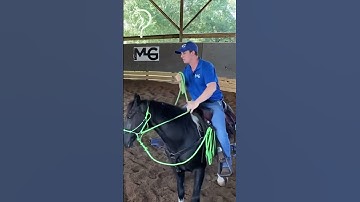 Quick Tips To Gain Confidence With Your Horse! Part 8 | The Horse Guru-Michael Gascon