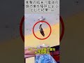 衝撃の結末!電球の蜂の巣を駆除しようとした結果…
