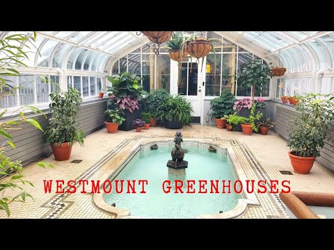 Видео: Westmount Conservatory болон Хүлэмжийн дотор