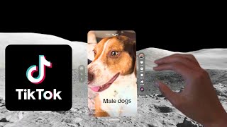 Apple Vision Pro App Review: &#39;TikTok&#39;