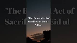 The Beloved Act Of Sacrifice On Eid ul Adha shortfeed eid