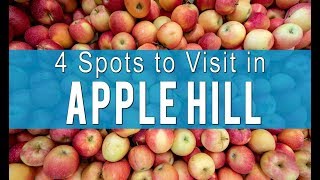 Apple Hill: 4 Ranches to Visit for Apple Picking and Donuts Apple Hill: 4 Ranches to Visit for Apple Picking and Donuts